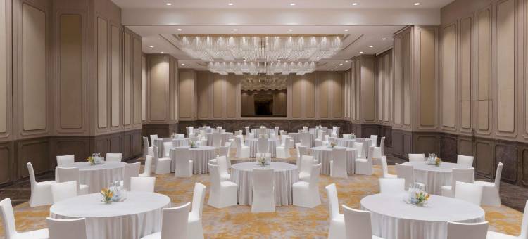诺富特加尔各达 - 酒店和公寓(Novotel Kolkata - Hotel & Residences)图片
