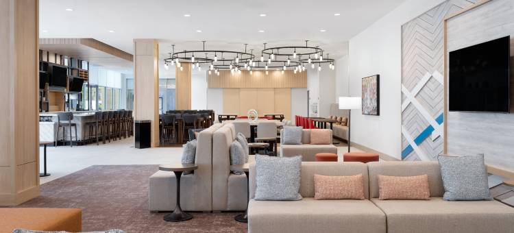 希尔顿花园酒店奥斯汀中心(Hilton Garden Inn Austin Central)图片