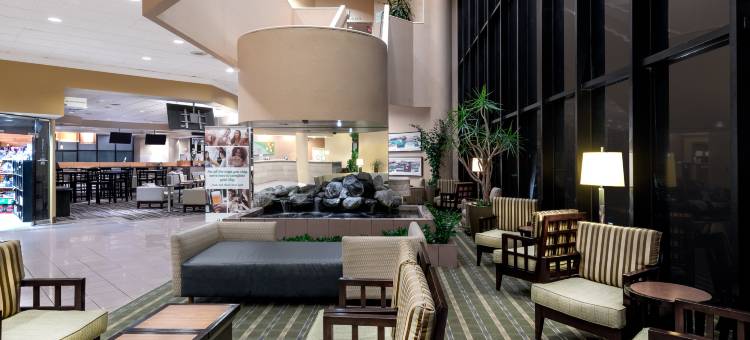 Holiday Inn 托伦斯(Holiday Inn LOS ANGELES GATEWAY - TORRANCE by IHG)图片