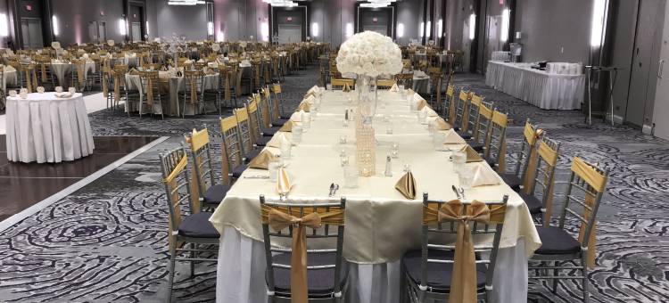 芝加哥西北/克里斯特尔莱克/会议中心假日酒店(Holiday Inn Chicago NW Crystal LK Conv Ctr)图片