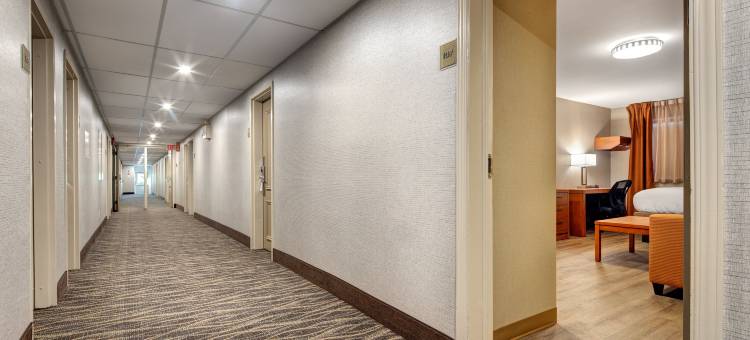 多伦多北列治文山加拿大最佳价值酒店(Canadas Best Value Inn Richmond Hill)图片