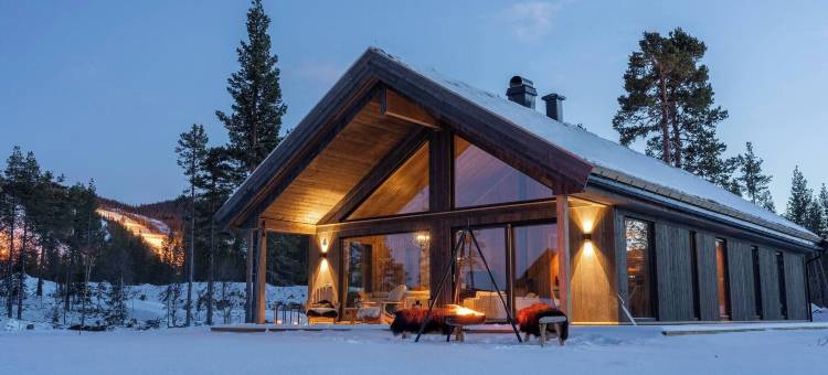 豪华度假屋，滑雪，桑拿，远程办公(Luxury Holiday Home, Skiing, Sauna, Remote Office)图片