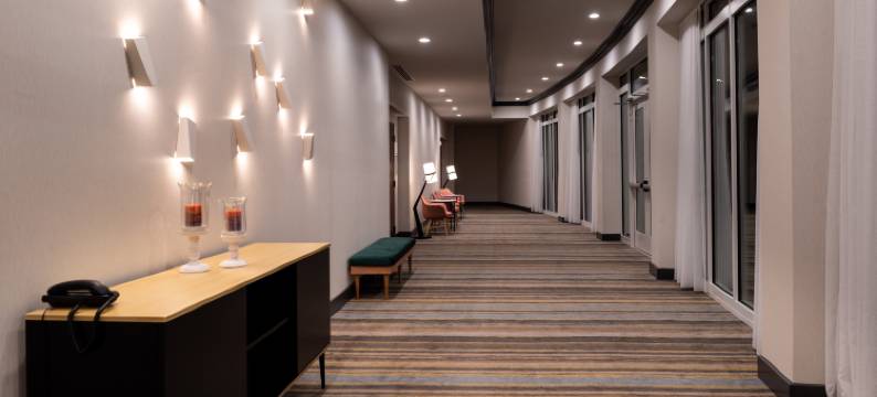 奥兰多国际大道主题公园智选假日套房酒店(Holiday Inn & Suites ORLANDO I-DRIVE - THEME PARKS by IHG)图片