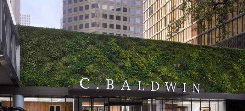 C.鲍德温希尔顿格芮精选酒店(C. Baldwin, Curio Collection by Hilton)图片