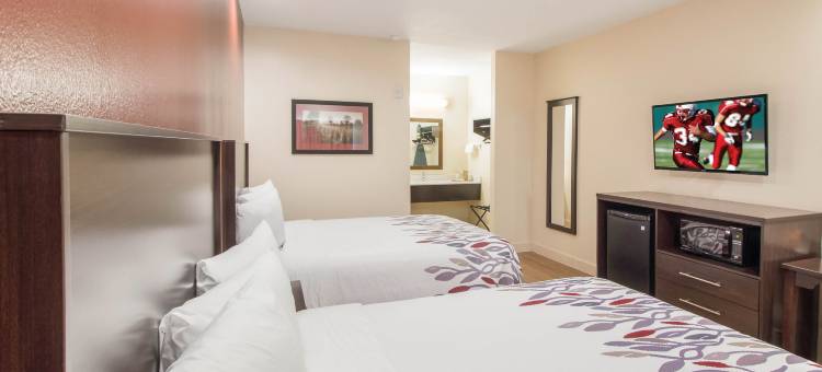 休斯顿威洛布鲁克红顶酒店(Red Roof Inn Houston - Willowbrook)图片