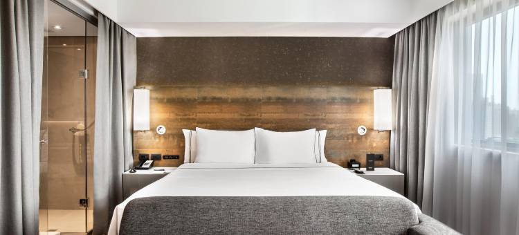 美利亚酒店-伊比拉普埃拉(Meliá Ibirapuera)图片