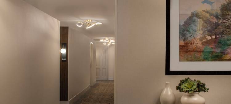 巴克海特雷诺克斯公园Residence Inn 酒店(Residence Inn Atlanta Buckhead/Lenox Park)图片