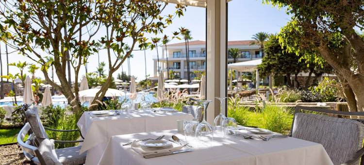 巴罗萨皇宫酒店(Hipotels Barrosa Palace & Spa)图片