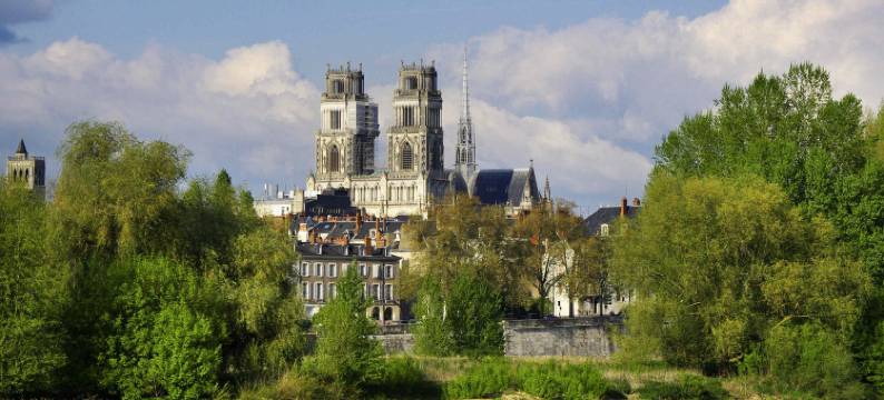 宜必思快捷奥尔良南 CO'MET 酒店(Ibis Budget Orleans Sud Co'Met)图片