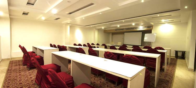 德里帕哈甘吉国王酒店(Hotel le Roi Near New Delhi Railway Station)图片