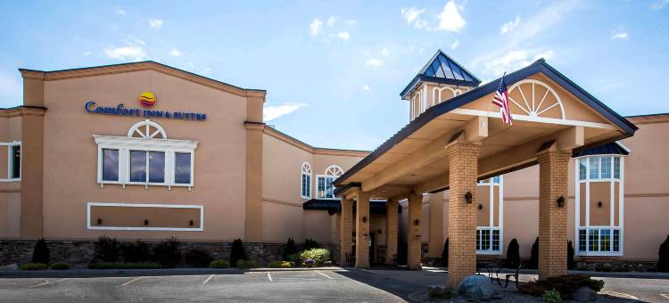 莫里森维尔普拉茨堡凯艺套房酒店(Comfort Inn & Suites Plattsburgh - Morrisonville)图片