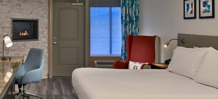 希尔顿花园酒店-鸽子谷(Hilton Garden Inn Pigeon Forge)图片