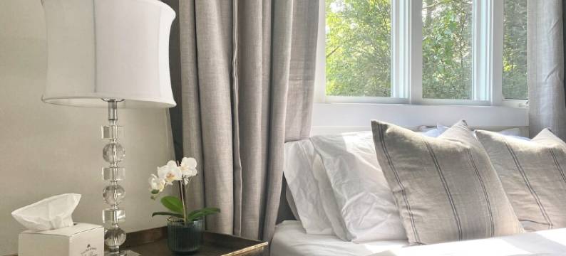 Cozy Cottage 2 Mins to Black Mountain, 20 Mins to Asheville, Dog Friendly!图片