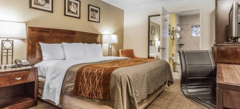 舒适酒店(Comfort Inn)图片