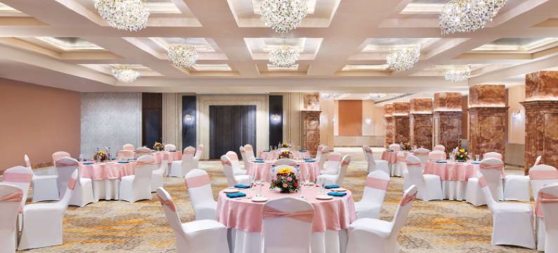 诺富特焦特布尔 ITI 圆环酒店(2023 年 4 月开业)(Novotel Jodhpur Iti Circle)图片