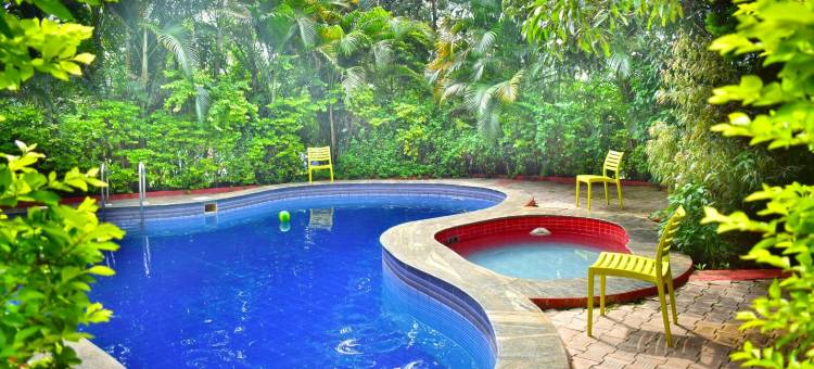 海豚度假村(Dolphin Resort)图片