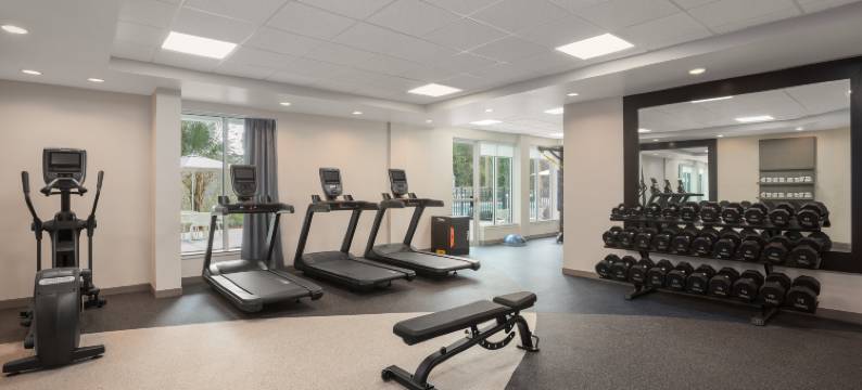 坦帕北希尔顿花园酒店(Hilton Garden Inn Tampa North)图片