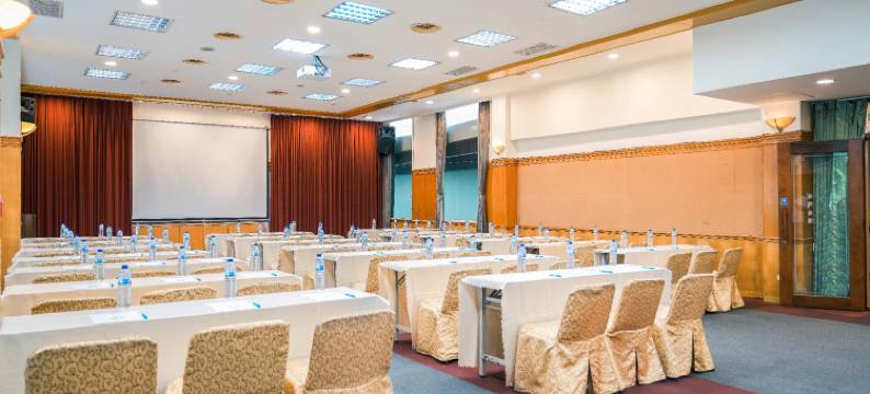 南投埔里鲤鱼潭天水莲大饭店图片