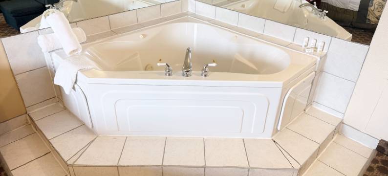 德兰赫勒Travelodge by Wyndham酒店(Travelodge by Wyndham Drumheller)图片