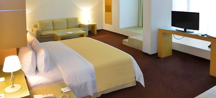 Holiday Inn 莫雷利亚(Holiday Inn MORELIA by IHG)图片