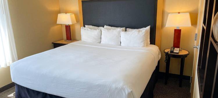 阿普尔顿万豪斯普林希尔套房酒店(SpringHill Suites by Marriott Appleton)图片