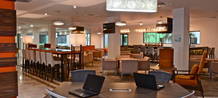Holiday Inn 坦皮科阿尔塔米拉(Holiday Inn TAMPICO ALTAMIRA by IHG)图片