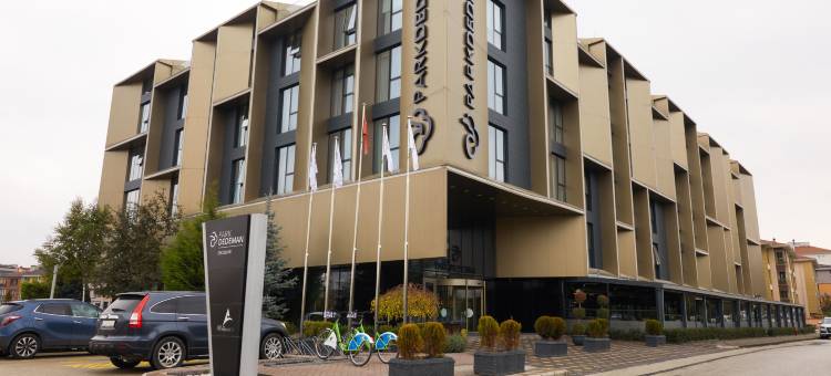 德德曼埃斯基谢希尔公园酒店(Park Dedeman Eskişehir)图片