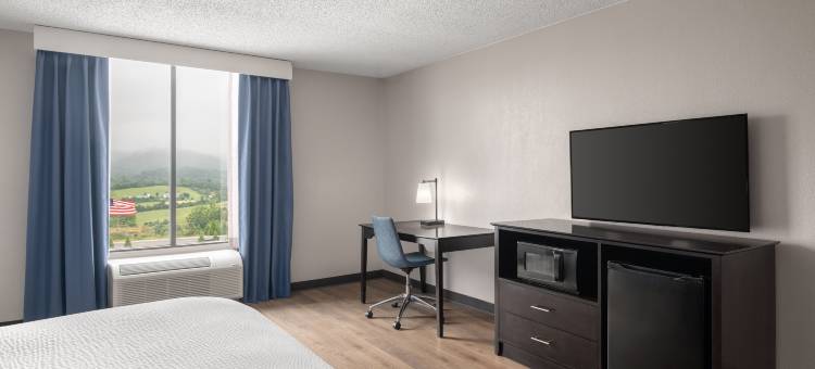 洲际旗下佳阁威斯维尔东酒店(Garner Hotel WYTHEVILLE EAST by IHG)图片