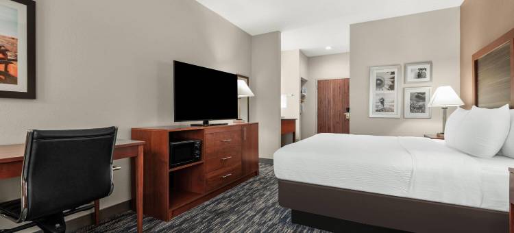 米德韦斯特城廷克空军基地拉昆塔温德姆套房酒店(La Quinta Inn & Suites by Wyndham Midwest City - Tinker AFB)图片