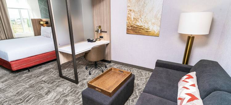 安大略机场-兰丘库卡蒙加万豪SpringHill Suites酒店(SpringHill Suites Ontario Airport/Rancho Cucamonga)图片
