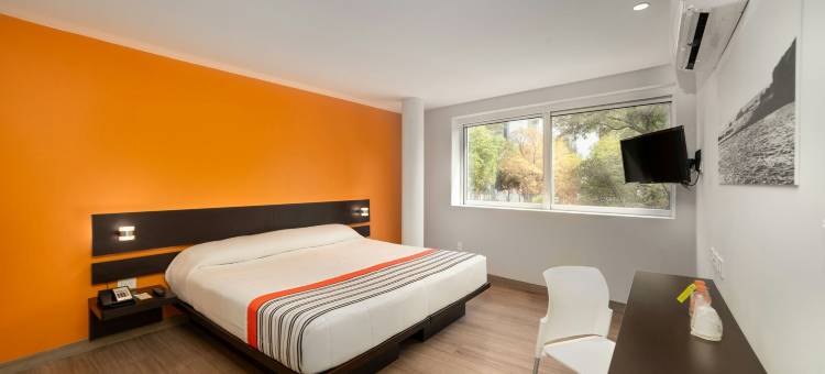 墨西哥城Reforma区万豪City Express Junior酒店(City Express Junior by Marriott Ciudad de México Zona Reforma)图片