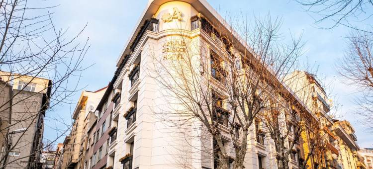 阿普里斯豪华酒店(Aprilis Deluxe Hotel)图片
