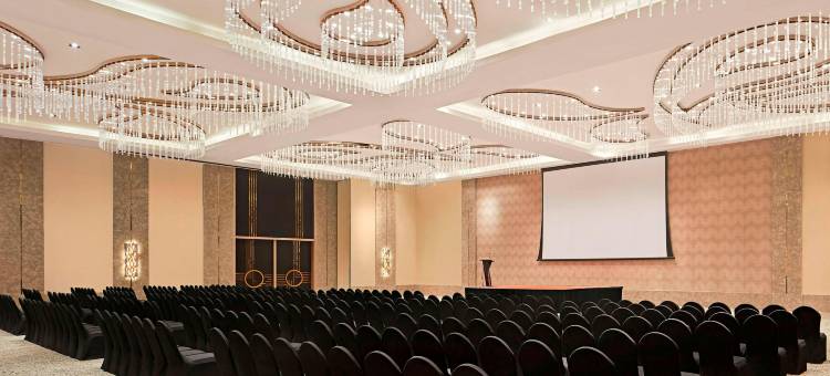 加尔各答拉加哈特威斯汀酒店(The Westin Kolkata Rajarhat)图片