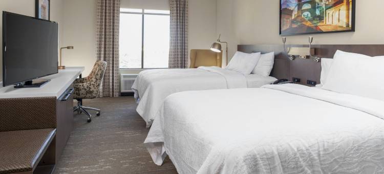 韦科希尔顿花园酒店(Hilton Garden Inn Waco)图片