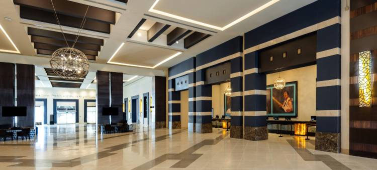 蓬塔卡纳硬石娱乐场酒店-全包(Hard Rock Hotel & Casino Punta Cana All Inclusive)图片