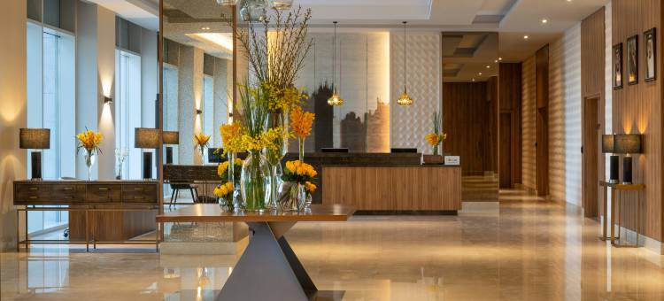 利雅得金融区希尔顿花园酒店(Hilton Garden Inn Riyadh Financial District)图片