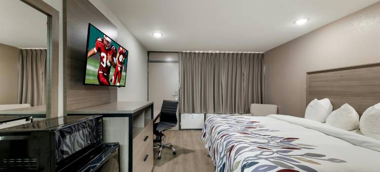 麦金尼凯艺酒店(Red Roof Inn & Conference Center McKinney)图片