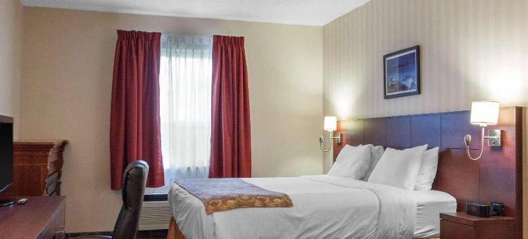 凯艺套房酒店(Quality Hotel & Suites)图片