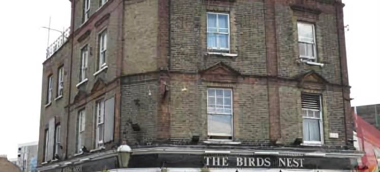 鸟巢旅馆(The Birds Nest Hostel)图片