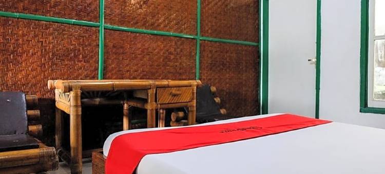 红门Plus酒店-近茂物巴鲁加兰(RedDoorz Plus Near Jalan Baru Bogor)图片