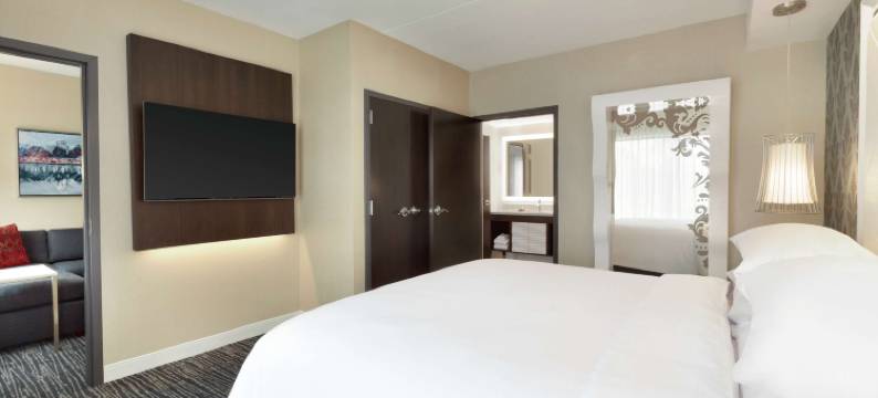 希尔顿亚特兰大东北-格温内特糖山大使套房酒店(Embassy Suites by Hilton Atlanta NE - Gwinnett Sugarloaf)图片