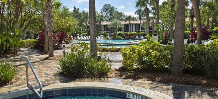 奥兰多主题公园希尔顿逸林度假村(DoubleTree by Hilton Orlando Theme Park Resort)图片