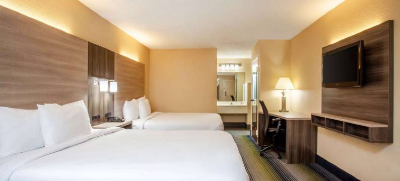 麦克多诺温德姆呗盟酒店(Baymont by Wyndham McDonough)图片