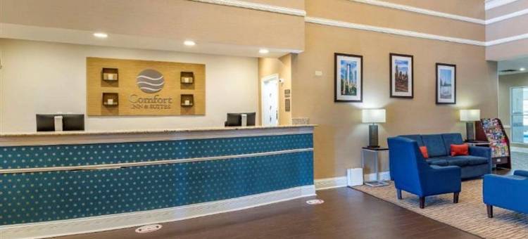 亚特兰大六旗江山酒店酒店(Comfort Inn & Suites Near Six Flags)图片