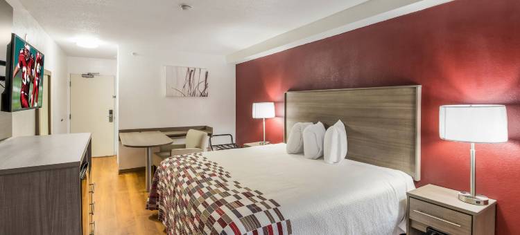罗切斯特-机场红屋顶酒店(Red Roof Inn Rochester - Airport)图片