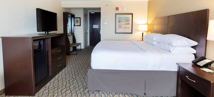 Holiday Inn 机场西地球城(Holiday Inn ST. Louis Arpt West-Earth City)图片