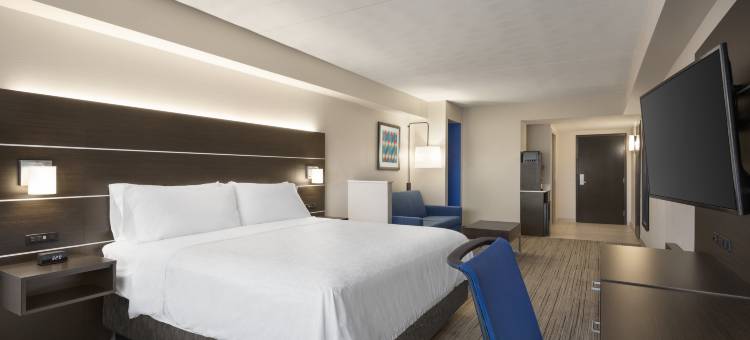 Holiday Inn Express & Suites FT迈尔斯堡东论坛(Holiday Inn Express & Suites FT Myers East- the Forum)图片