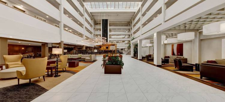 布鲁克菲尔德密尔沃基希尔顿安泊酒店(Embassy Suites by Hilton Milwaukee Brookfield)图片