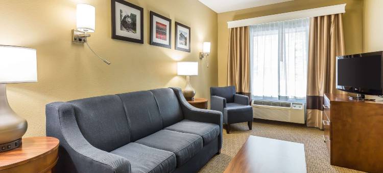舒适套房酒店(Comfort Inn & Suites)图片