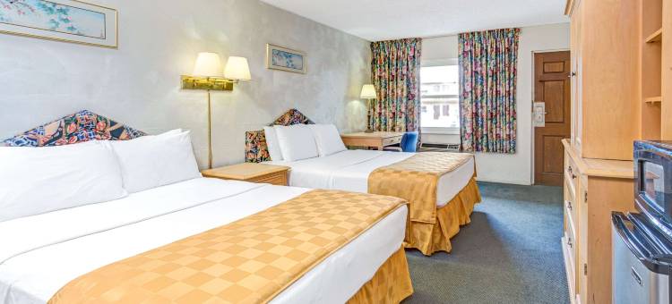 奥兰多基西米骑士酒店(Knights Inn Kissimmee)图片